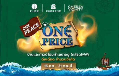 ONE PEACE ONE PRICE